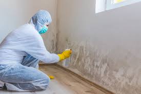 Best Mold Remediation for Healthcare Facilities  in Sconsin Rapids, WI